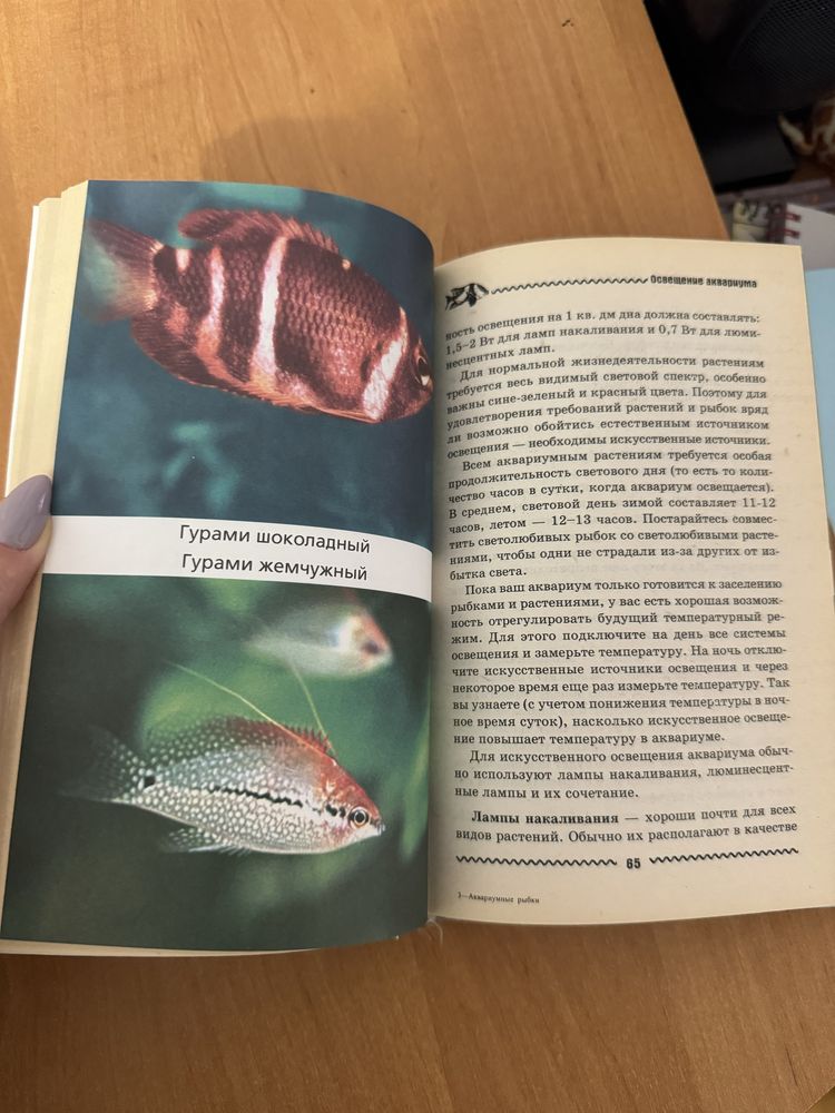 Книга «Домашній аквариум», нова