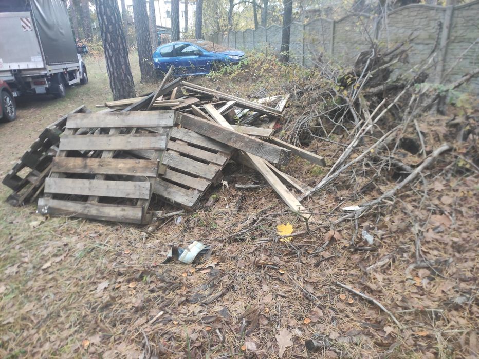 Drewno  korzenie palety ddam za darmo.