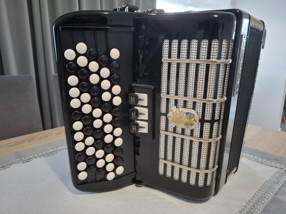 Akordeon guzikowy dla początkujących