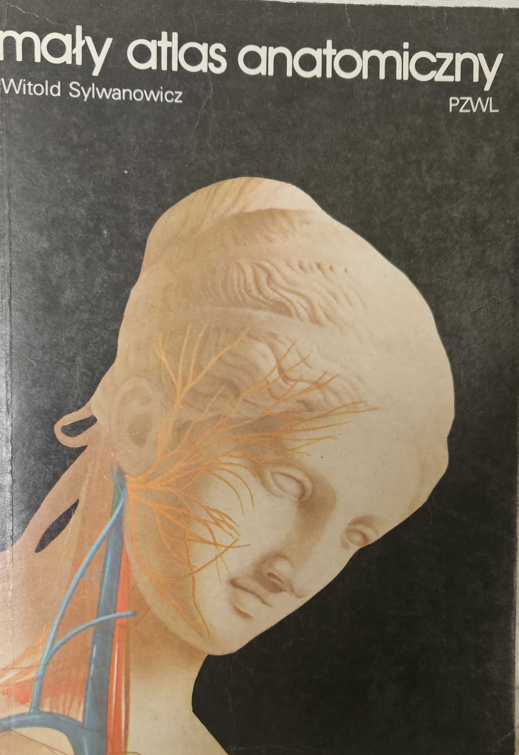 Mały atlas anatomiczny