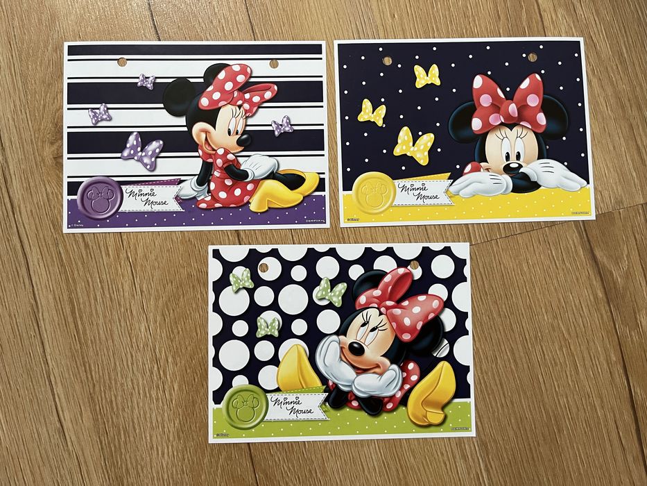Karteczki do segregatora Myszka Miki
