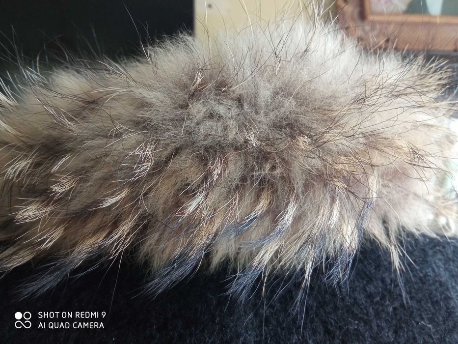 Obszycie kaptura 100% lis jenot naturalny 65 cm kolor brąz beż rudy