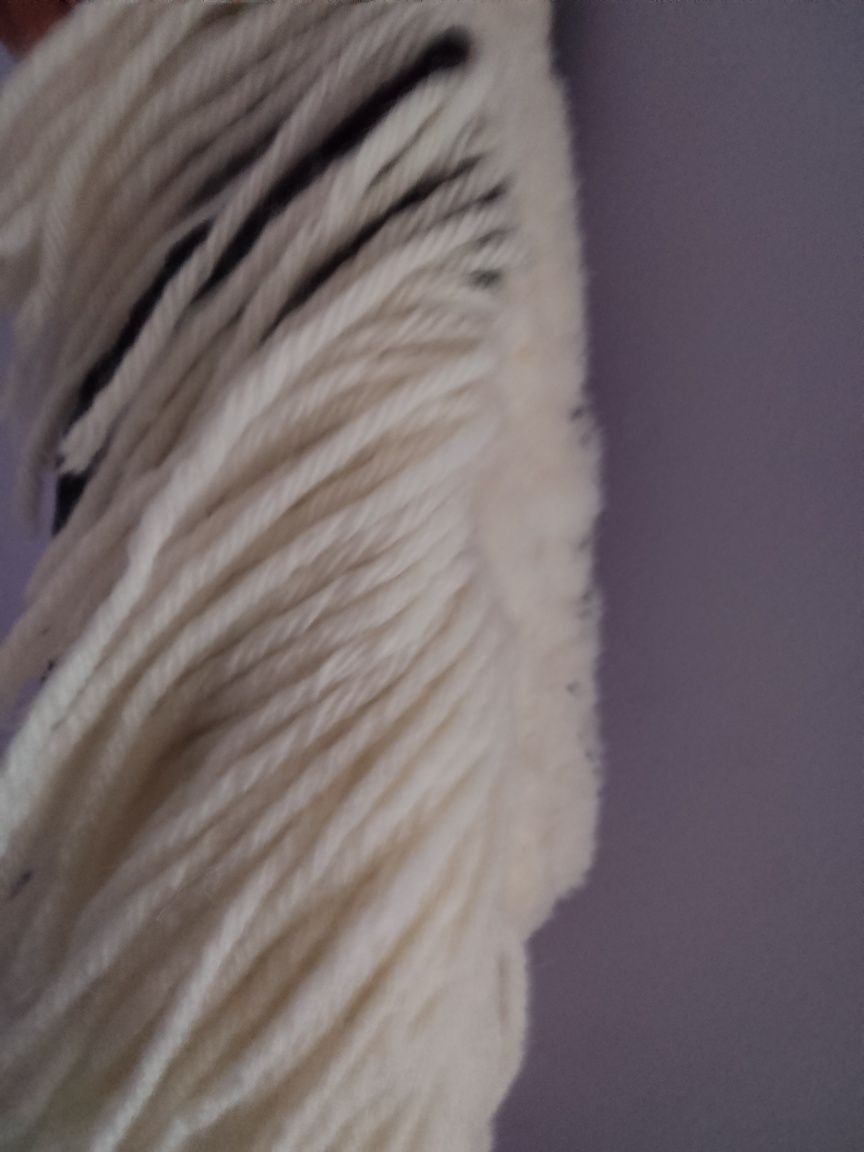Hobby horse nowy