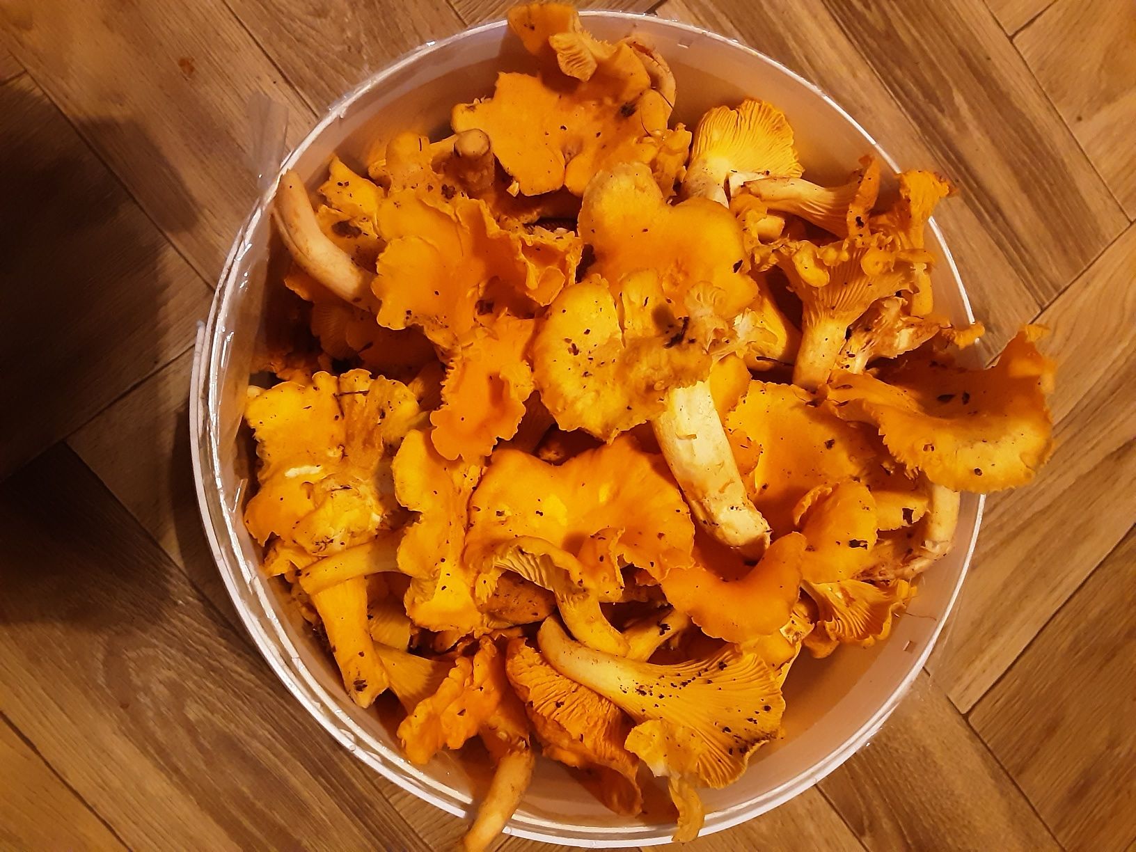 Kurki grzyby 1 kg