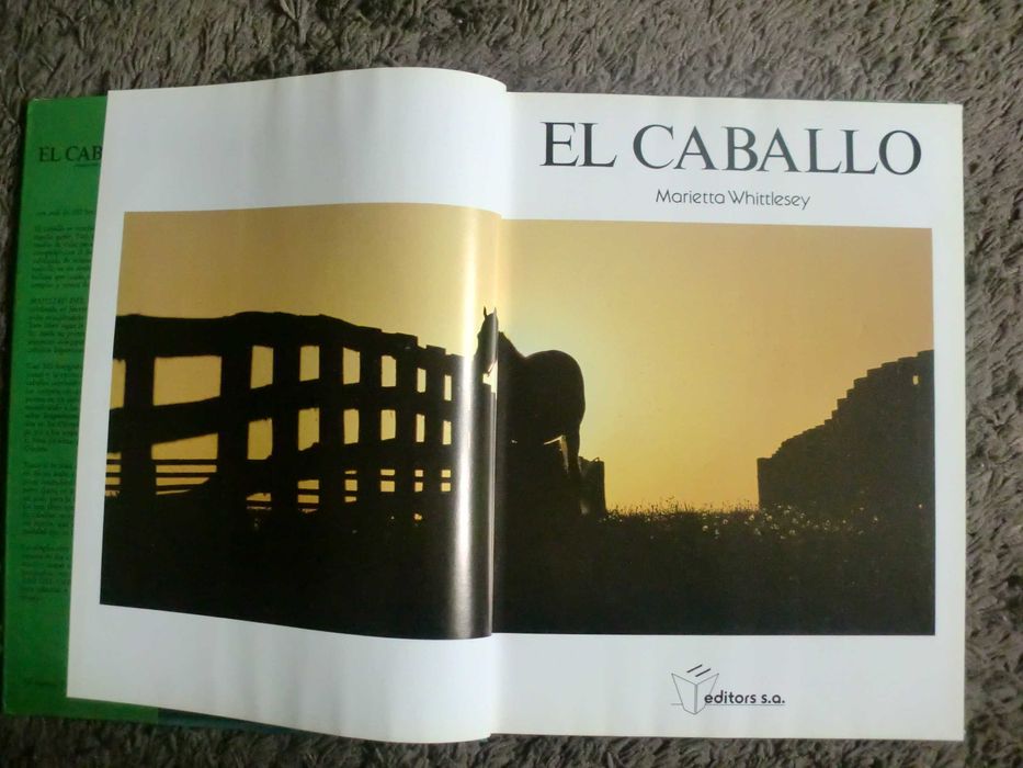 El Caballo
de Marietta Whittlesey