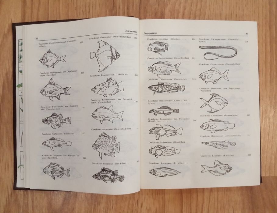 Декоративное рыбоводство. Кочетов А.М.