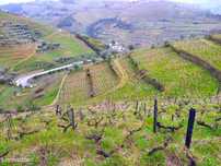 Quinta Sra. da Lapa, Douro, Santa Marta de Penaguião