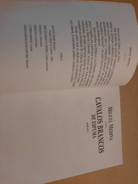 Cavalos Brancos de Espuma //Miguel Medina