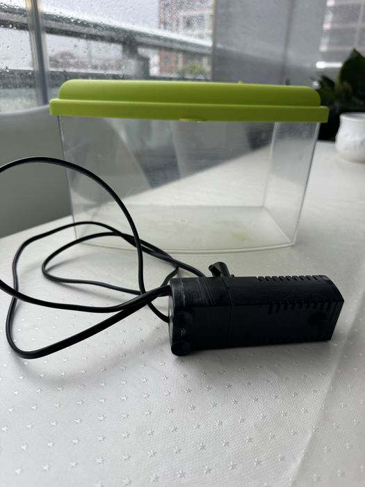 Aquário com filtro eléctrico