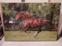 Obraz za szkłem, obraz puzzle koń trefl, 70x50, obraz na ścianę