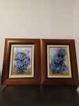Dois quadros com pinturas