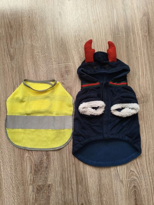 Ubranka dla małego psa