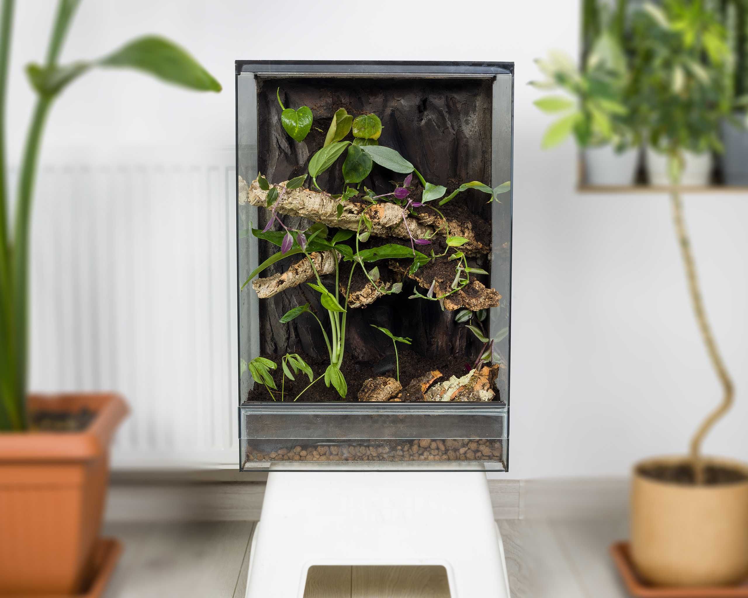 terrarium tropikalne 40x40x60