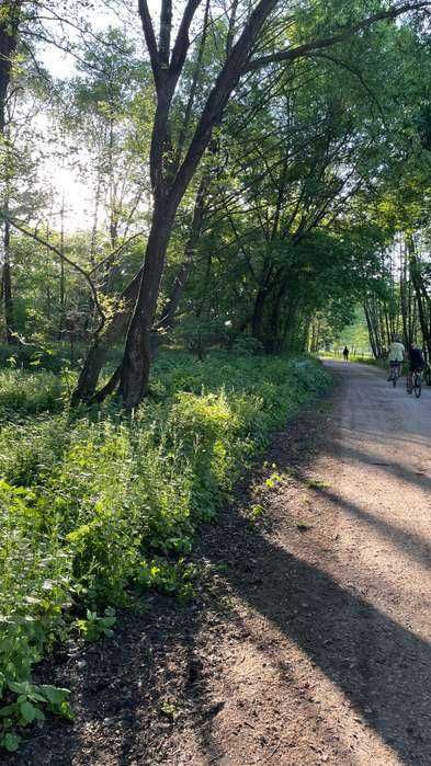 Działka inwestycyjna 2937 m², blisko natury, 30 minut od Warszawy