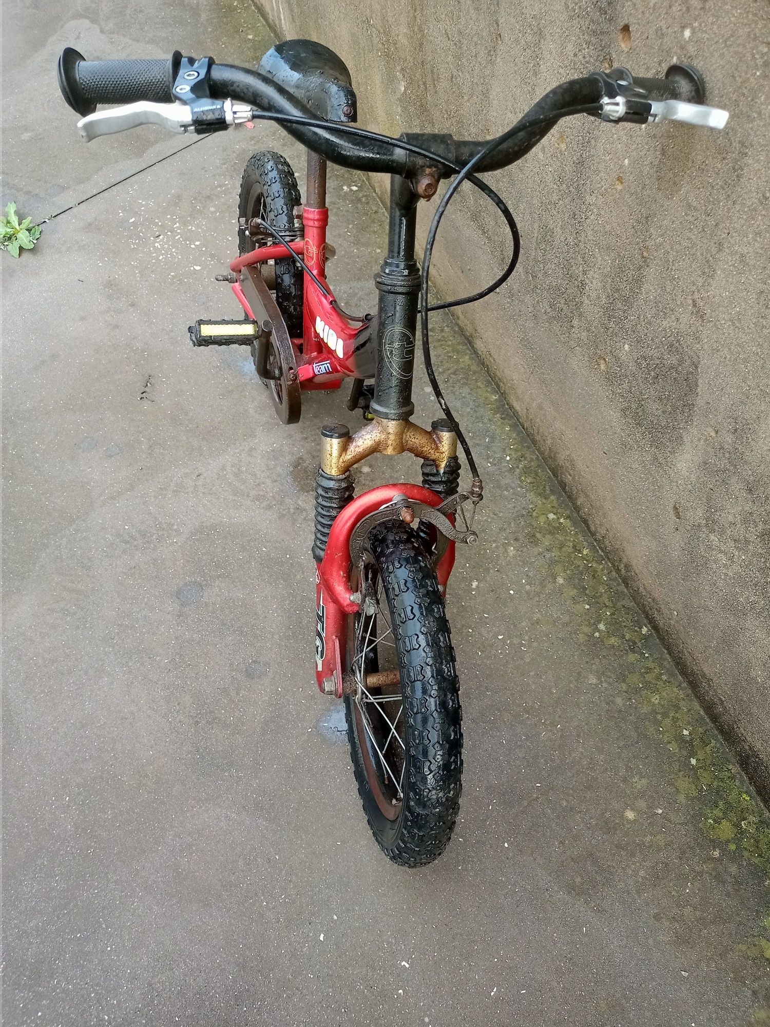 Bicicleta criança