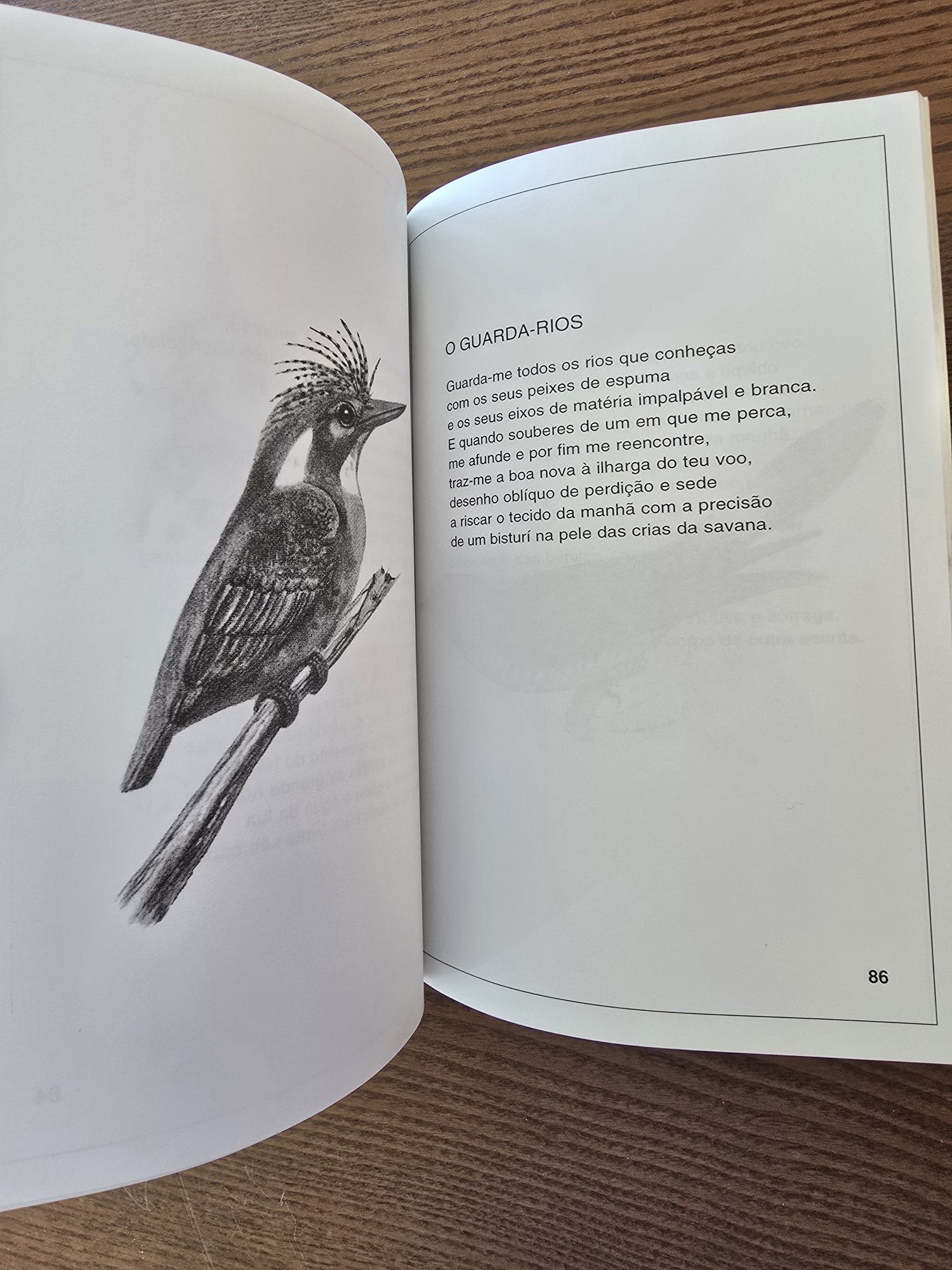 Livro "Animália - Odes aos Bichos" Autografado