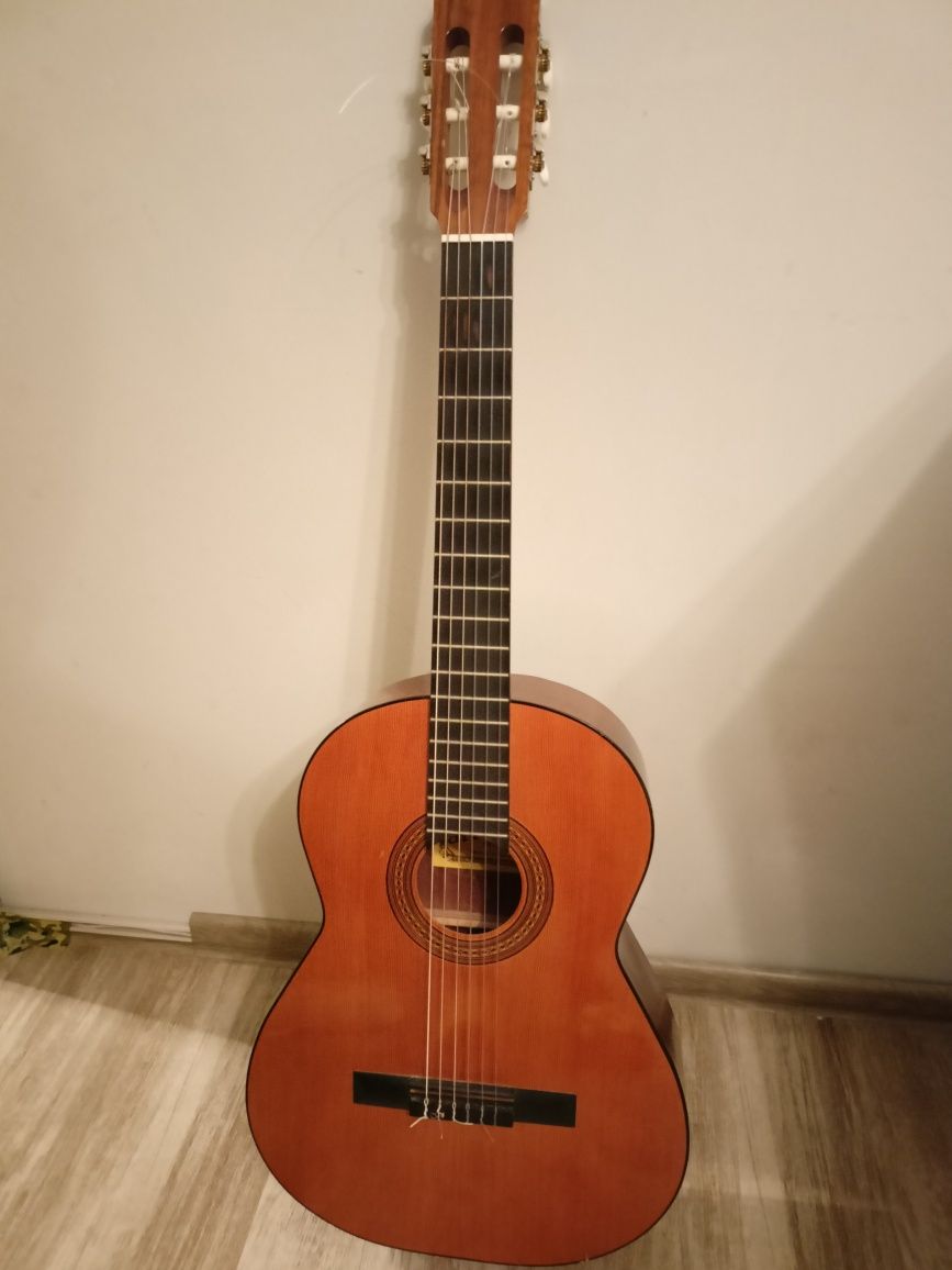 Gitara dla początkujących