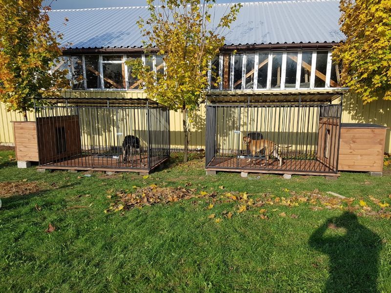 Kojec Klatka Zagroda Buda dla psa 3mx2m Montaż Gratis Solidny