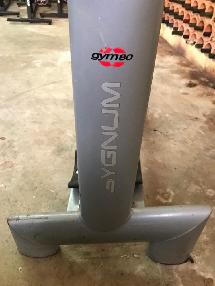 Suporte alteres para ginasio