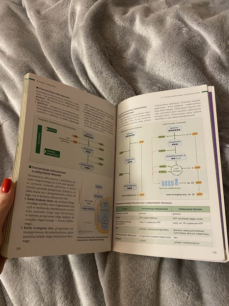 Biologia na czasie 1 zakres podstawowy