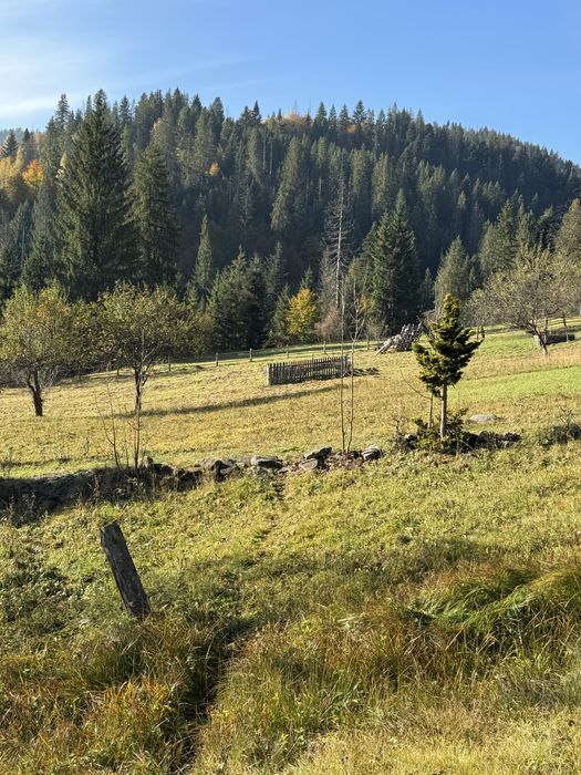 Ділянка Карпати,Микуличин.Земля в горах з газом