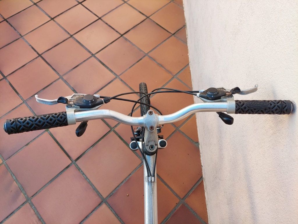 Bicicleta de Adulto