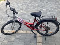 Rower damski 24''