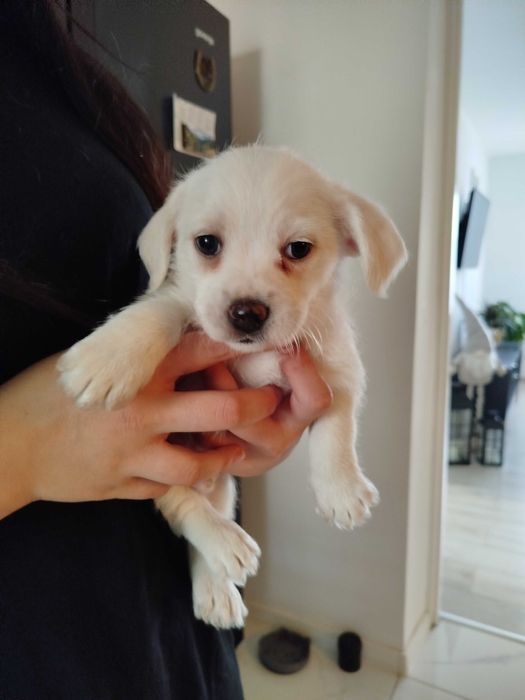 Małe słodziaki szukają przytulnego domku