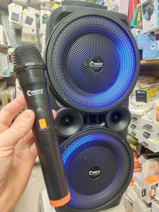 Karaoke Coluna Bluetooth com Microfone sem fio