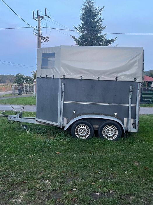 Przyczepa do przewozu koni