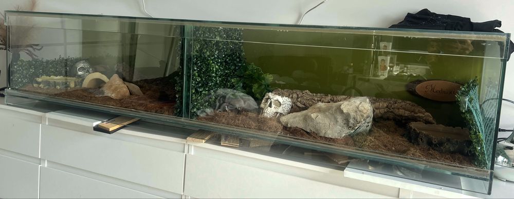 TERRARIO TODO EM VIDRO