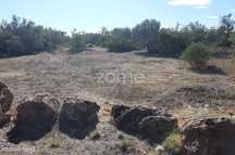 Terreno nas Cocaias, junto à estrada, com 2.220m2, Messines