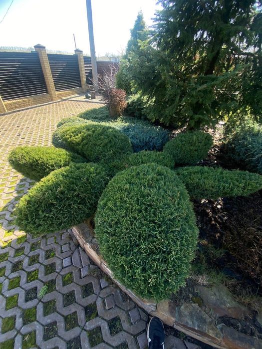 Садівники ,ландшафтний дизайн,Софіївська борщагівка,петропавлівська