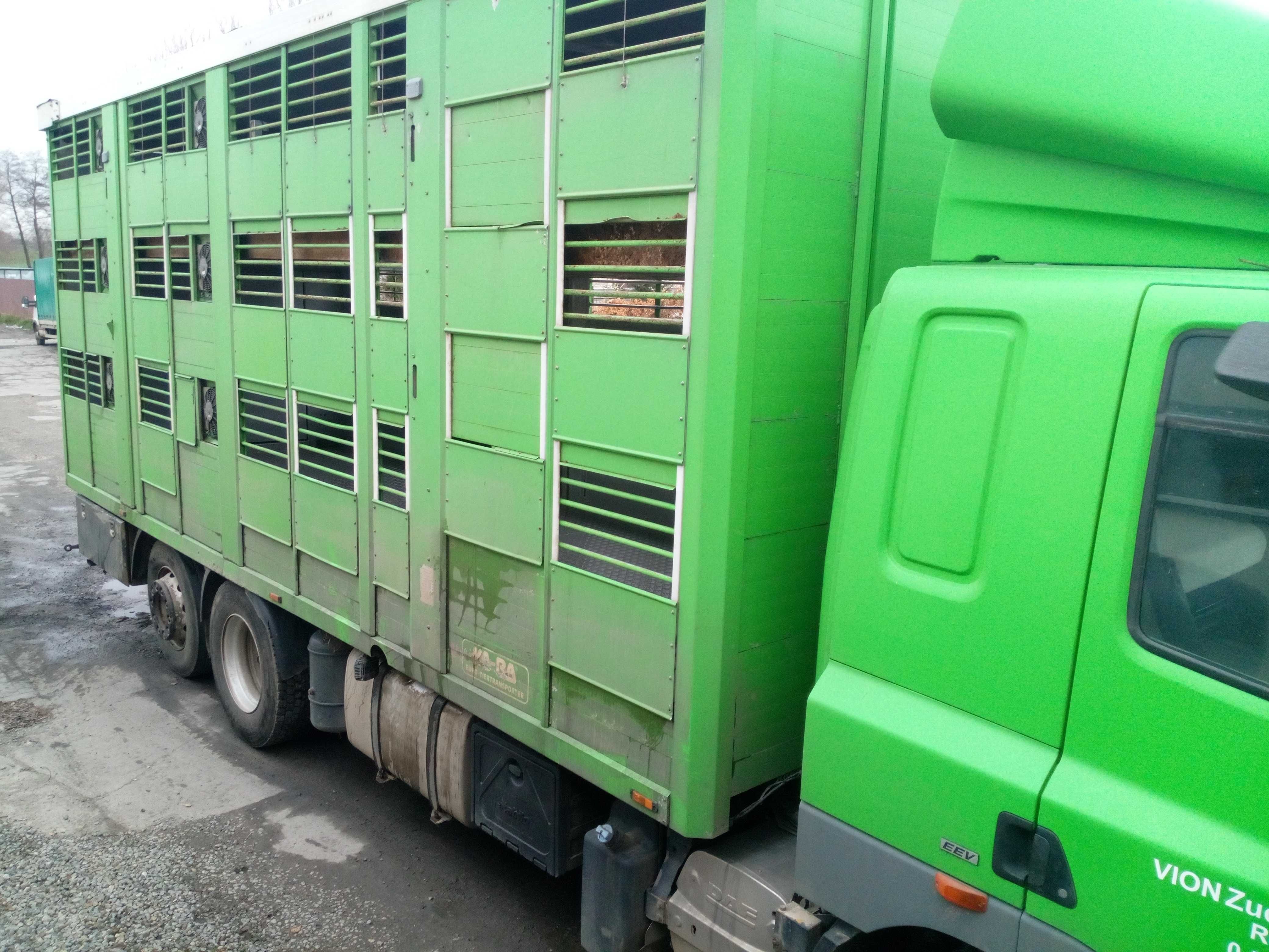 DAF CF 85.410 przewóz zwierząt