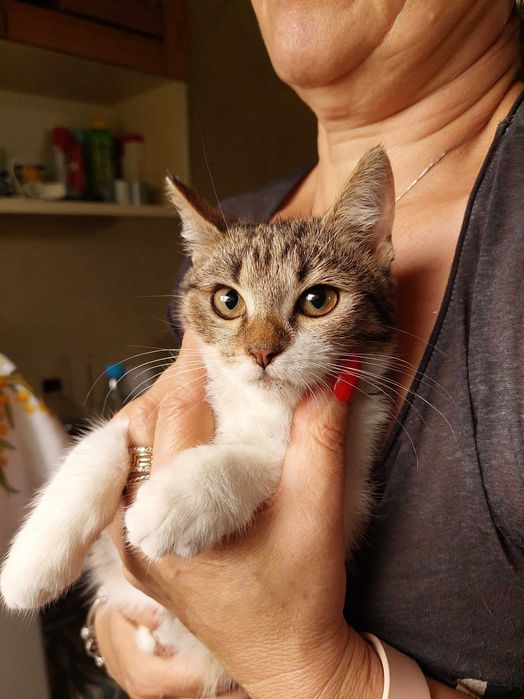 KLUSKA pragnie mieć dom!