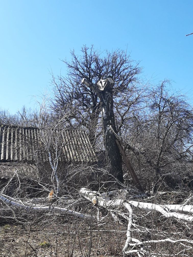 Пиляємо дрова,аварійні дерева.