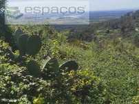Terreno Rustico