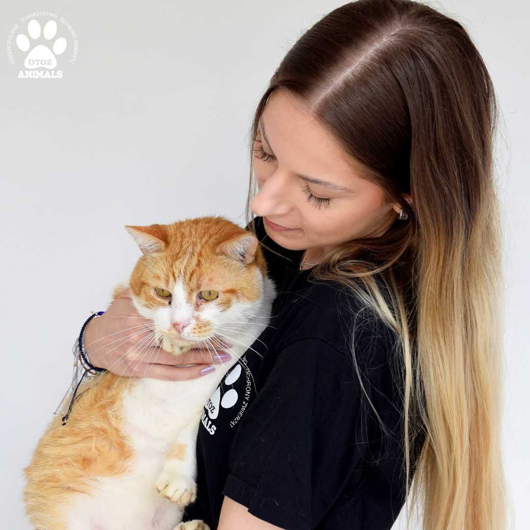 Rudy kocurek do adopcji! Poznajcie Keksa!