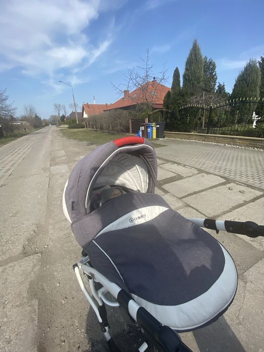 Wozek dziececy Coletto