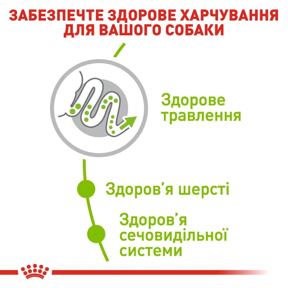 3кг Корм для дорослих собак мініатюрних порід X-small Adult Royal Cani