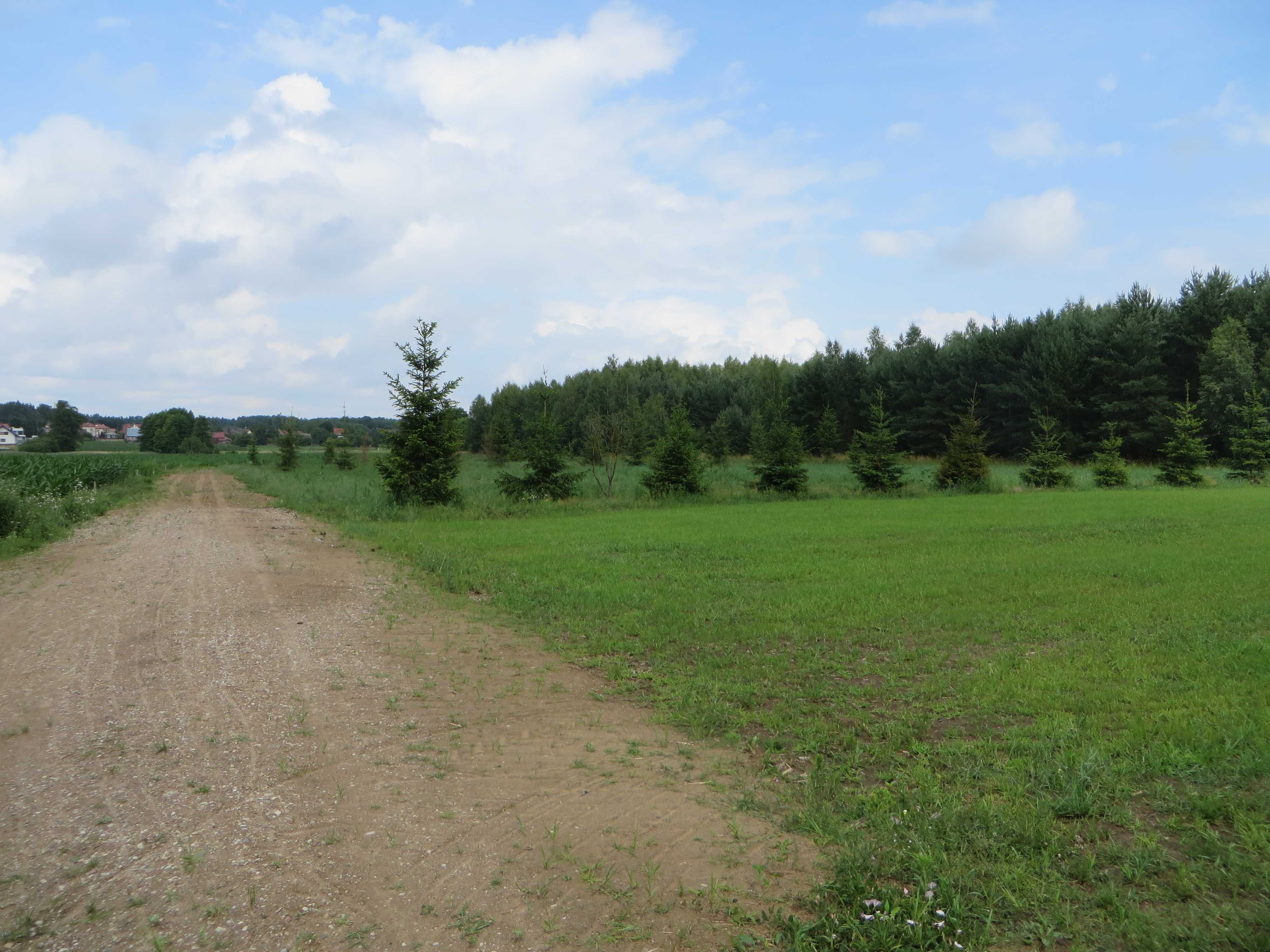 Działka rolna 0,3001 ha Zalesiany gm. Turośń Kościelna