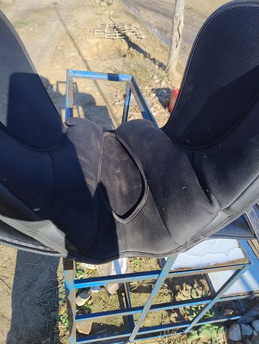 ujeżdżeniowe Claridge House 15'5 - 16"