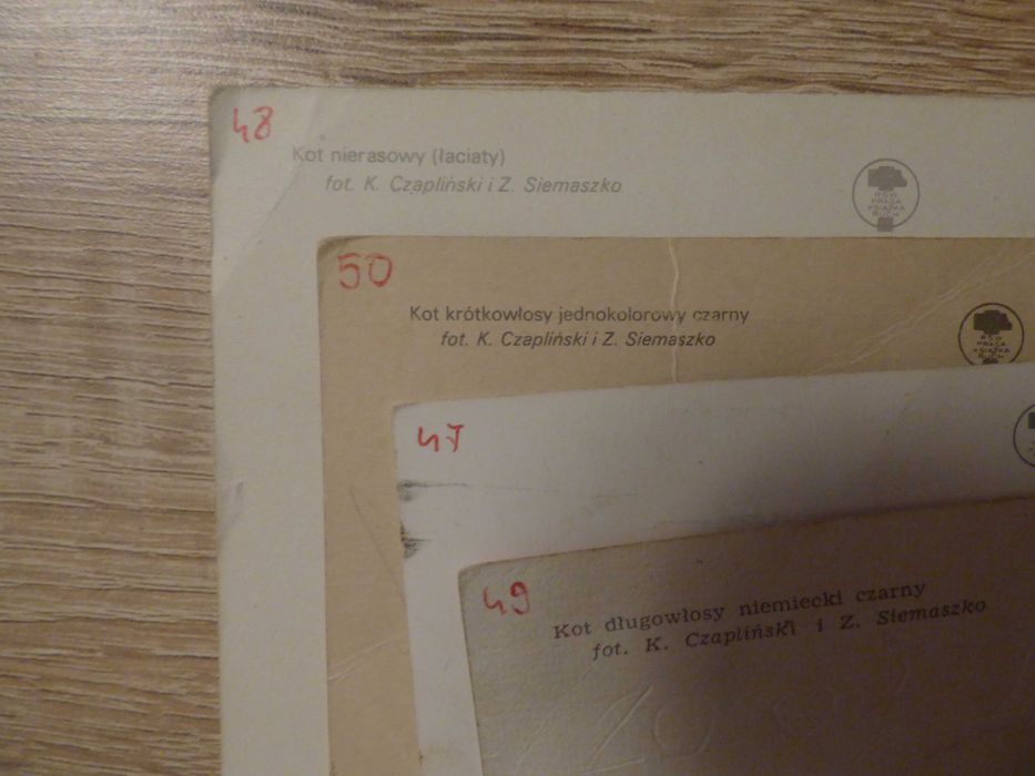 Pocztówki z PRL (lata 80-te) - Koty 20 szt.