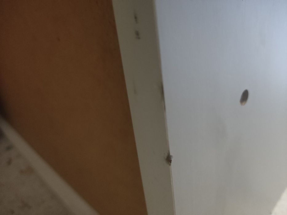 Zestaw mebli Lotta Grey. Meble dziecięce