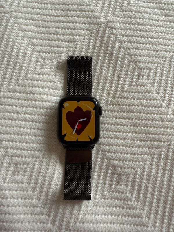 Apple Watch SE 40mm Milanese Loop