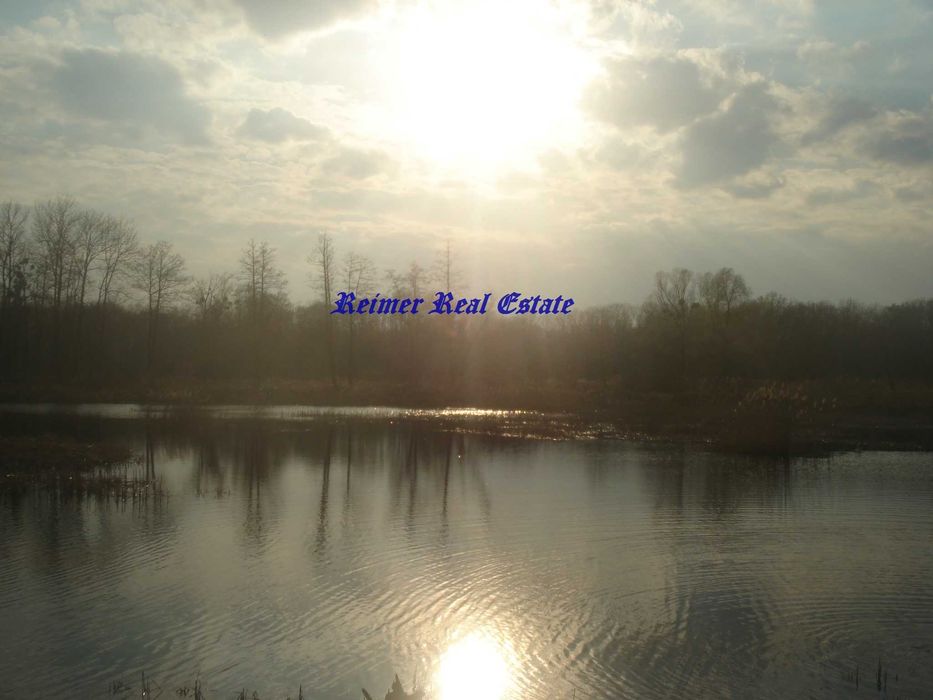 Без коміссії. оренда нового будинку в Конча-Заспе. в сосновому лісі.