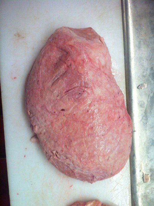 Яловиче вимя, корм для собак, мясо для собак. Доставка по УКРАЇНІ