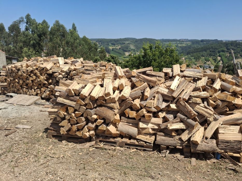 Lenha de eucalipto seca