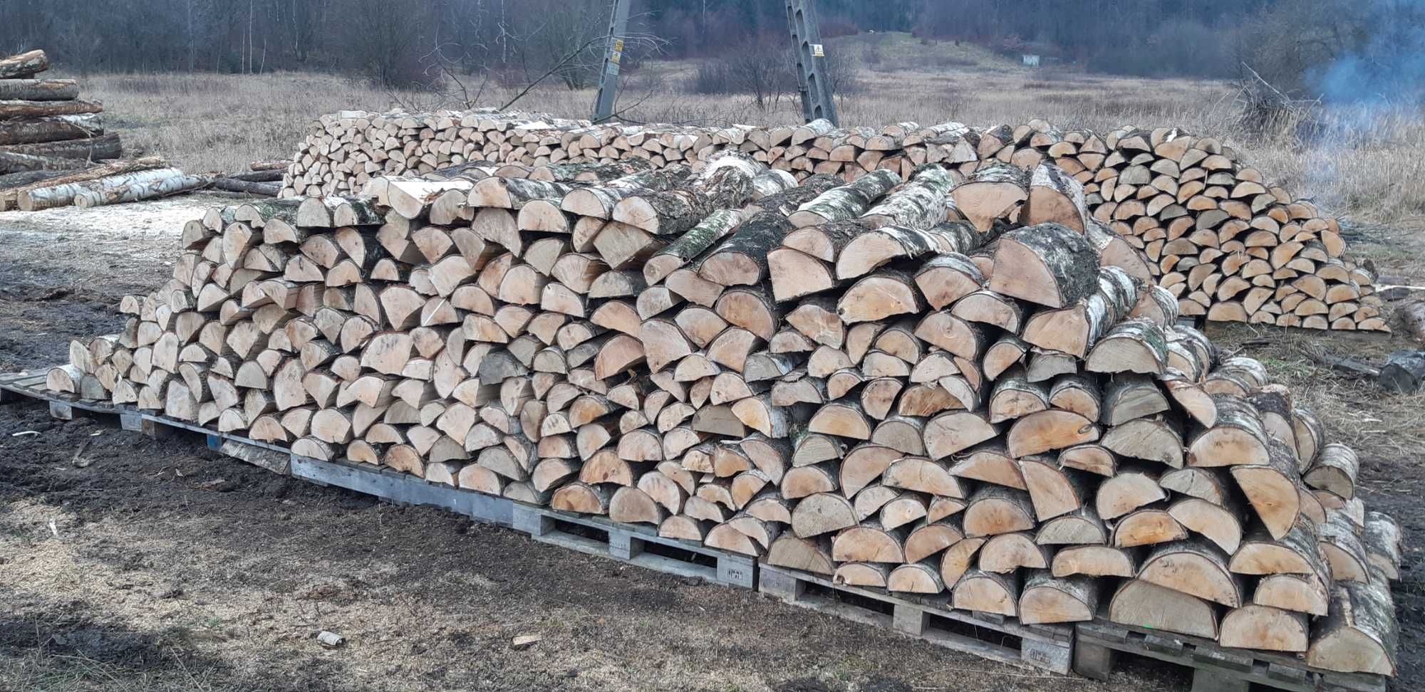 Drewno kominkowe i opałowe od 250 zł suchy buk jesion brzoza