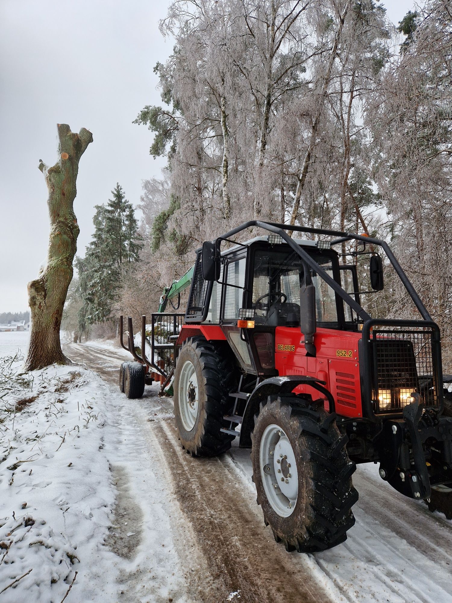 Frezowanie pniaków. Rozdrabnianie gałęzi rębakiem. Zrywka i transport